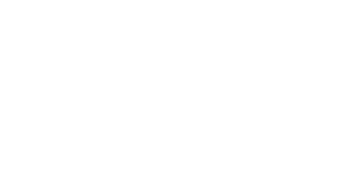 TAHN Logo